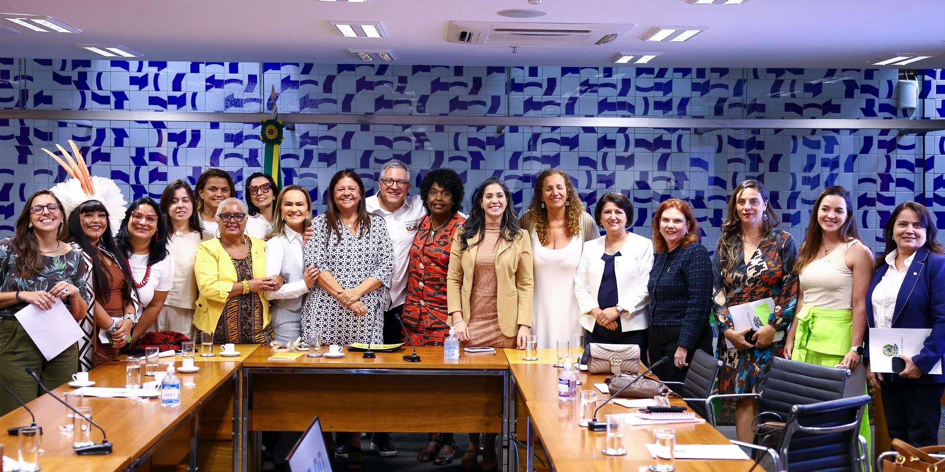 Bancada feminina defende prioridade à saúde da mulher no SUS