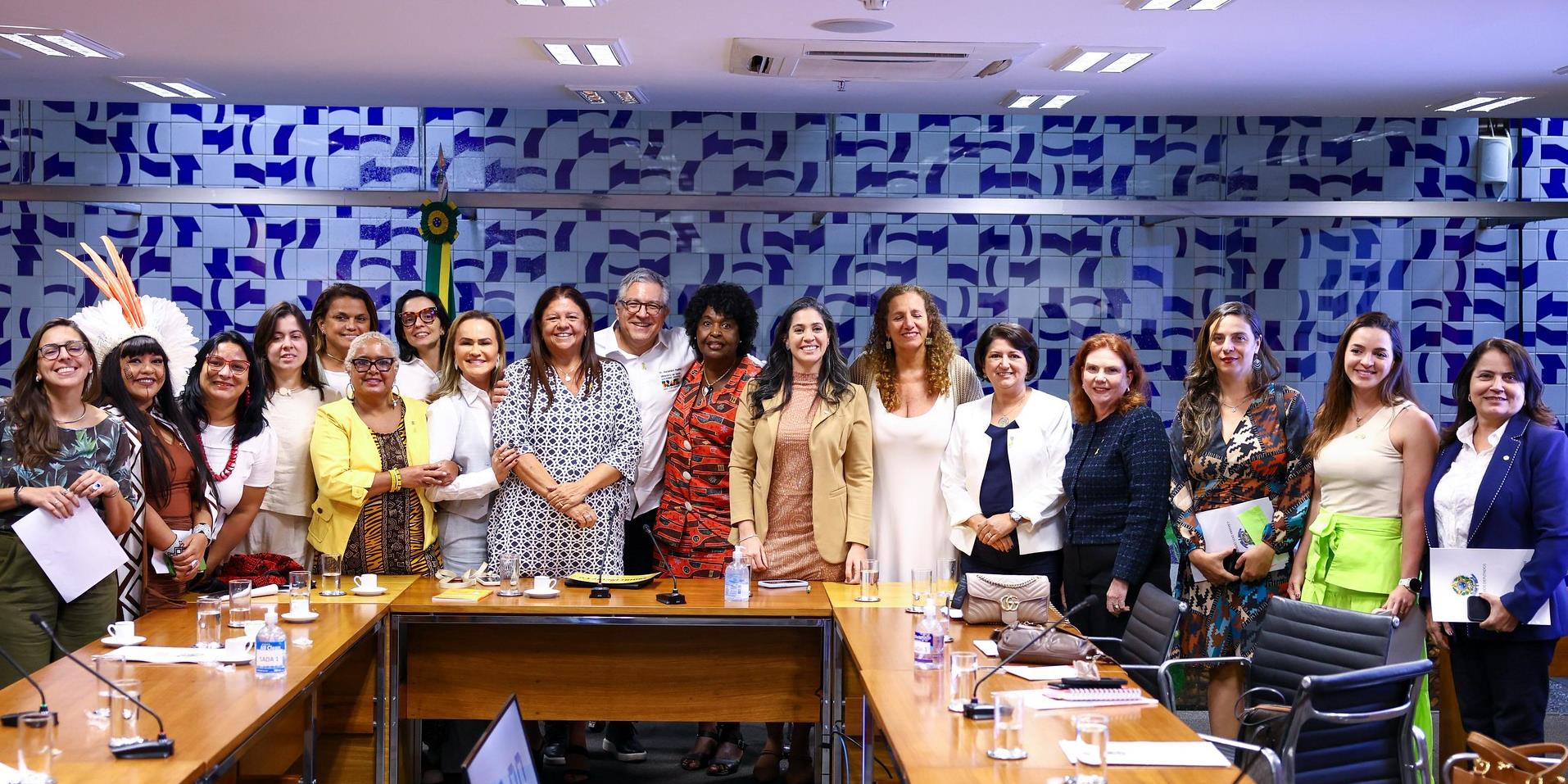 Ministro da saúde, Alexandre Padilha, durante reunião na bancada feminina na Câmara.