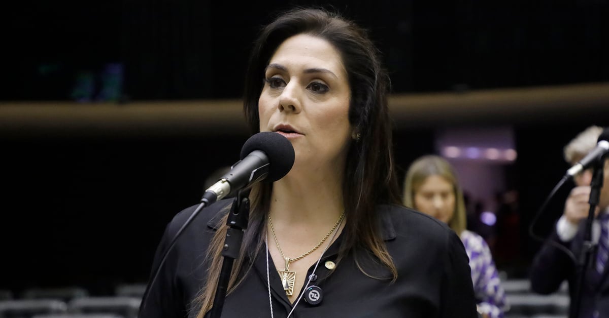 Câmara aprova Programa de Atenção e Orientação às Mães Atípicas