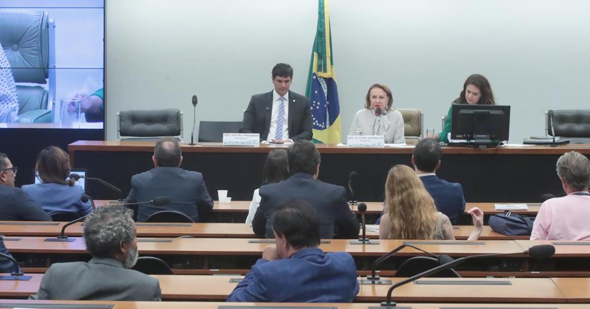 Comissão de Meio Ambiente pauta criação de subcomissão para COP30