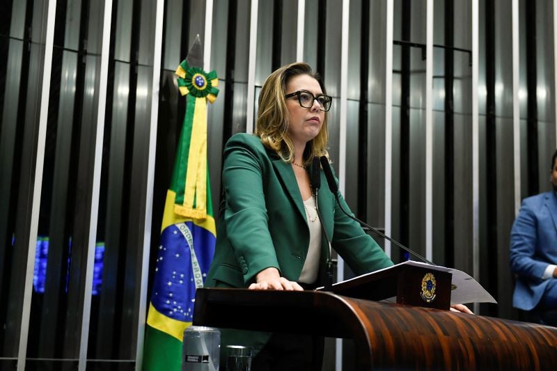 A senadora Leila Barros (PDT-DF) é a atual líder da bancada feminina.
