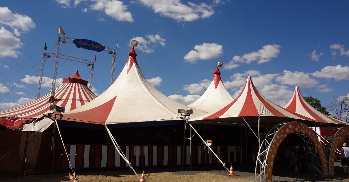 Projeto de Lei busca equilibrar proteção animal e liberdade econômica