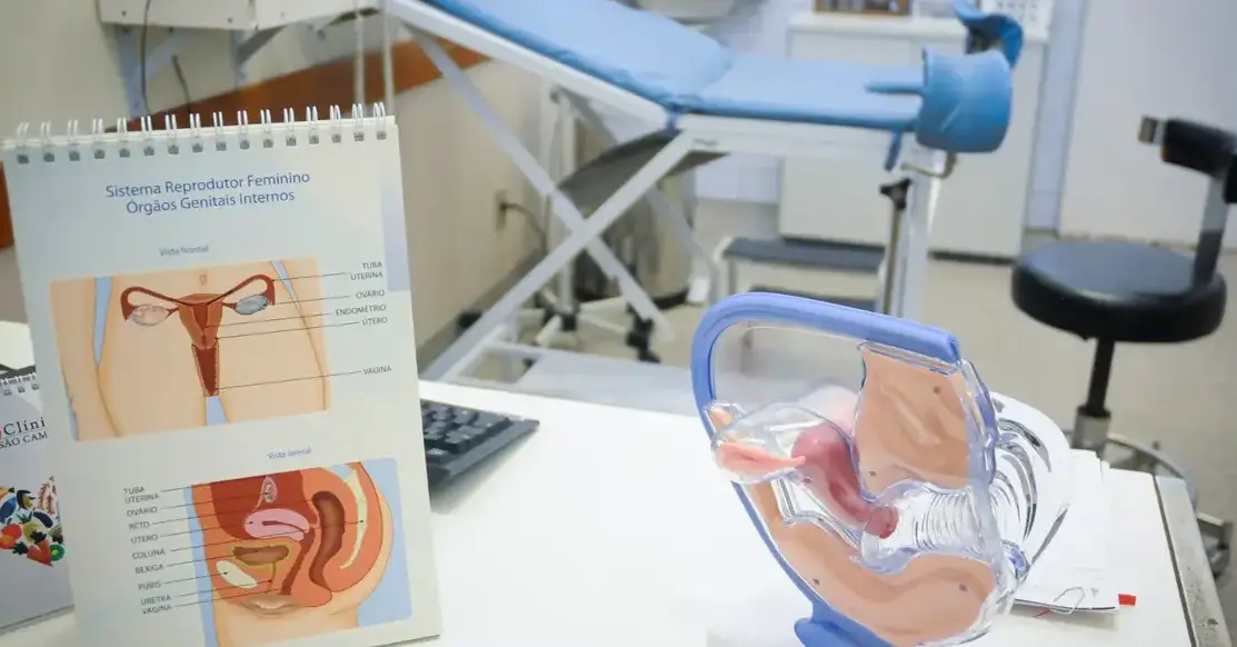 Projeto propõe atendimento completo para endometriose no SUS