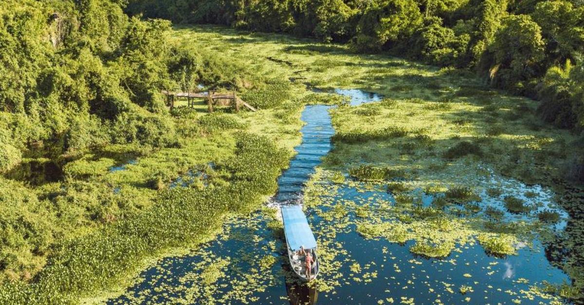 Senado aprova PEC que torna Pantanal patrimônio nacional