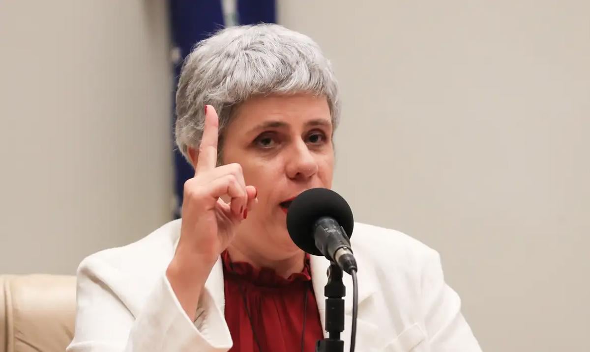 Eneá Stutz, da UnB e da Comissão de Anistia, vê inconstitucionalidade em proposta