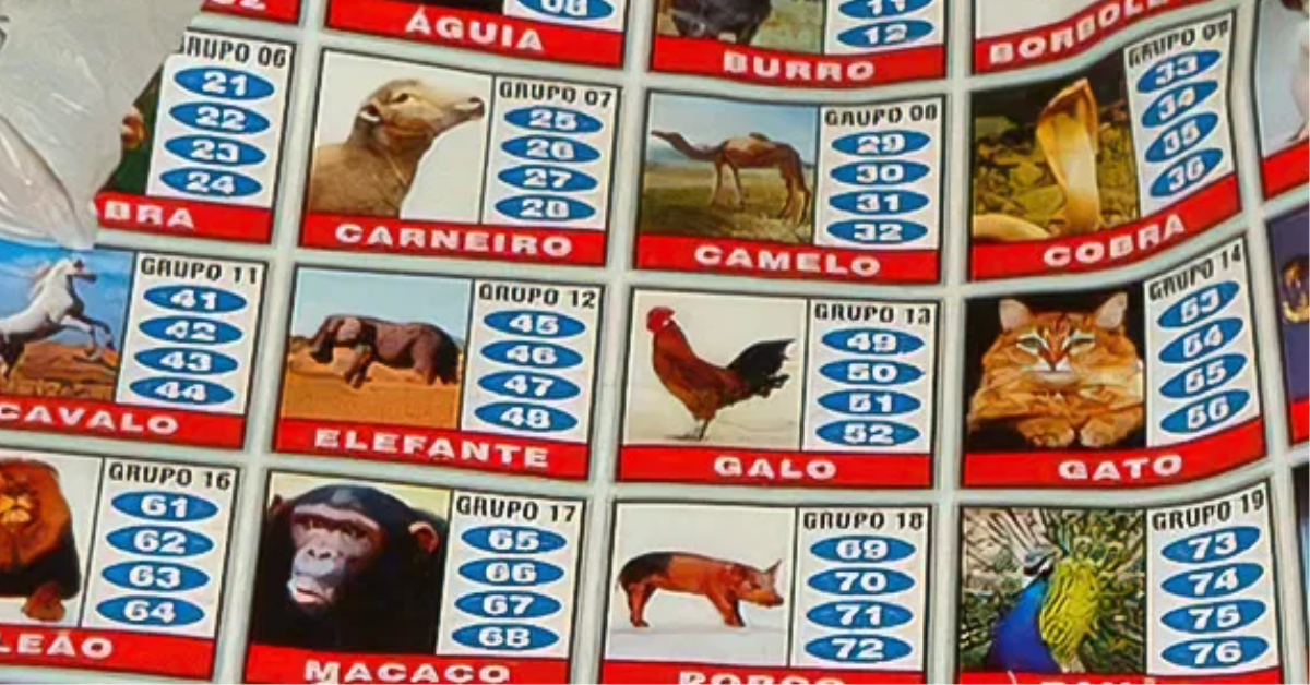 60% da população apoia legalização de jogo do bicho, diz pesquisa