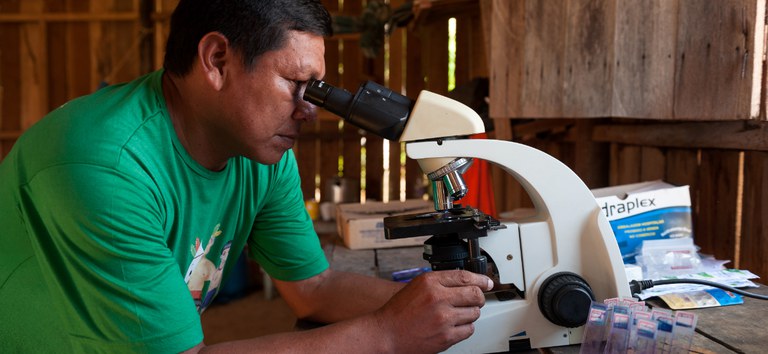 Brasil reduz 26% dos casos de malária no primeiro trimestre de 2025