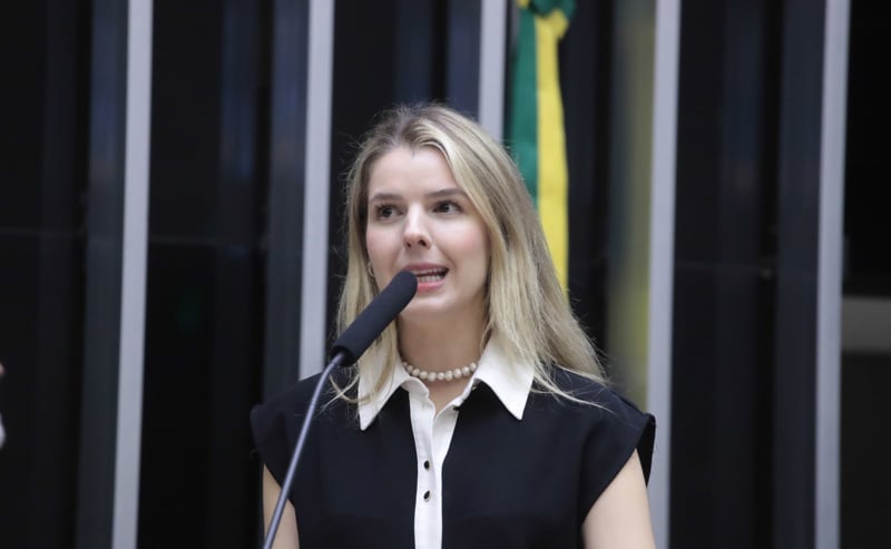 Projeto é de autoria da deputada Luísa Canziani (PSD-PR).