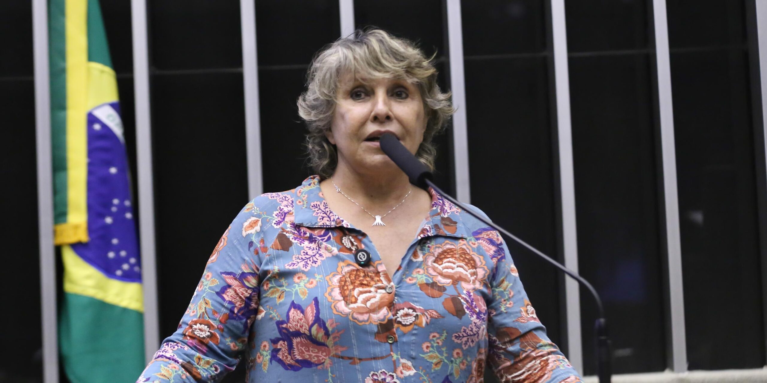 Câmara avança em projeto de acessibilidade digital para PCDs