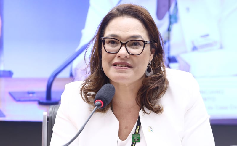 Secretária Adjunto V da Casa Civil - Casa Civil, Petula Ponciano Nascimento.