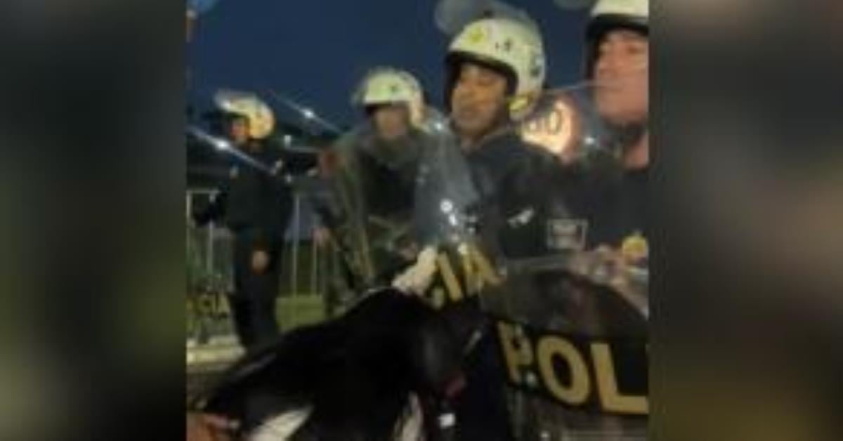 Célia Xakriabá é atingida por spray de pimenta durante marcha indígena