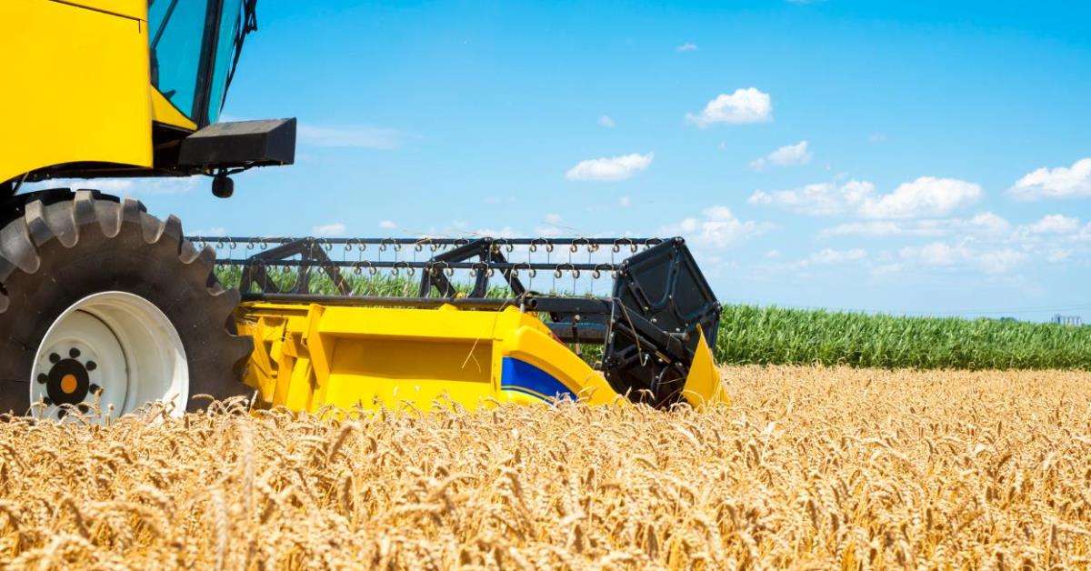 Comissão debate impacto de tarifas dos EUA na economia do Brasil