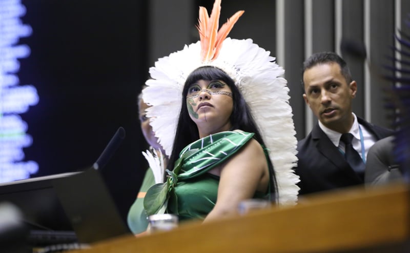 Texto é de iniciativa da deputada Célia Xakriabá (Psol-MG) durante homenagem à 21ª Edição do Acampamento Terra Livre.