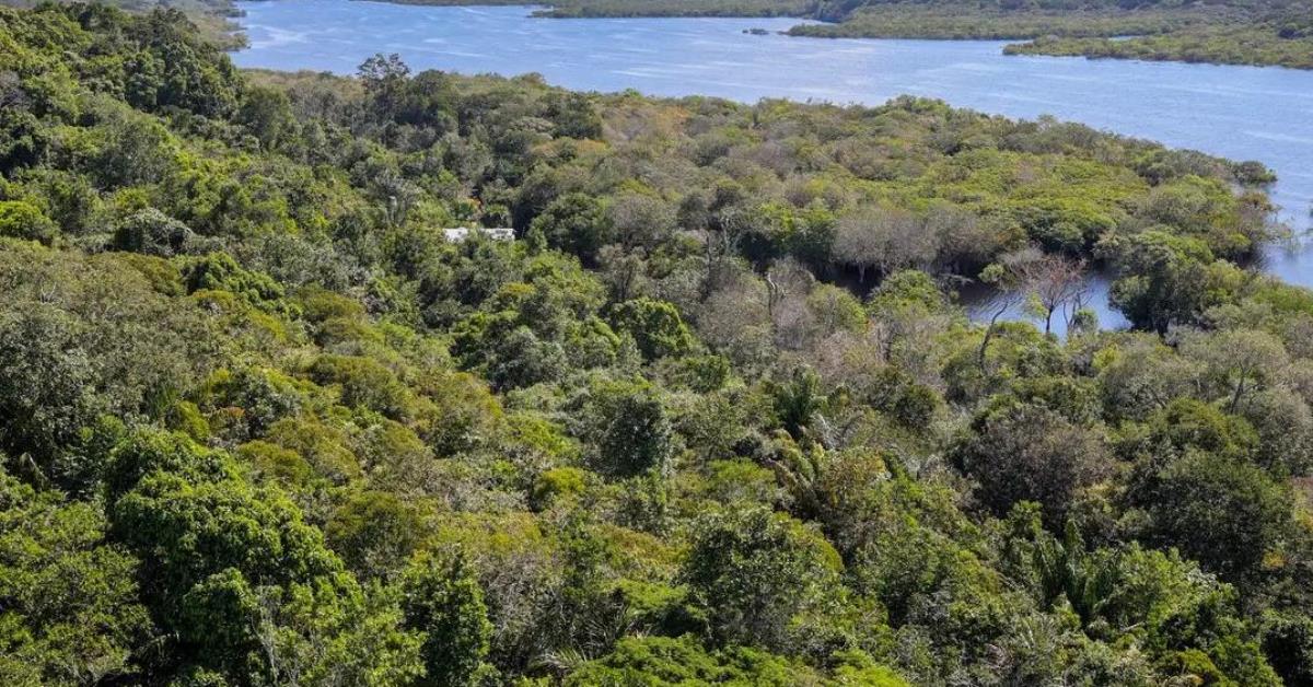 Fundo Clima aprova R$11,2 bi para ações contra mudanças climáticas