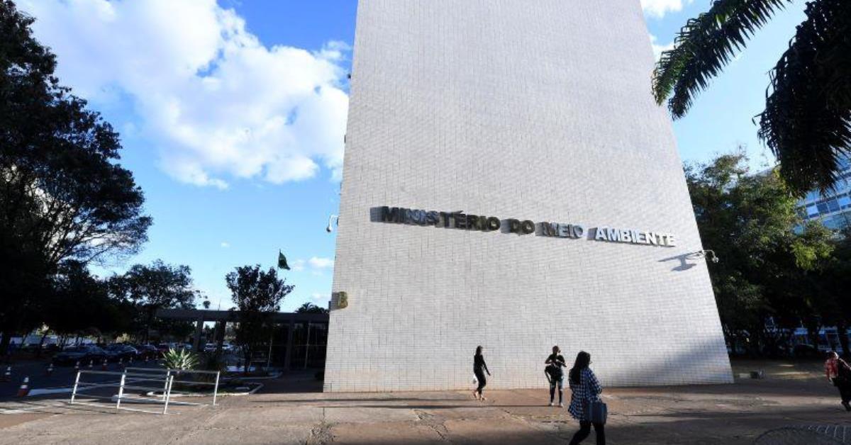 Governo lança curso online gratuito sobre a COP30