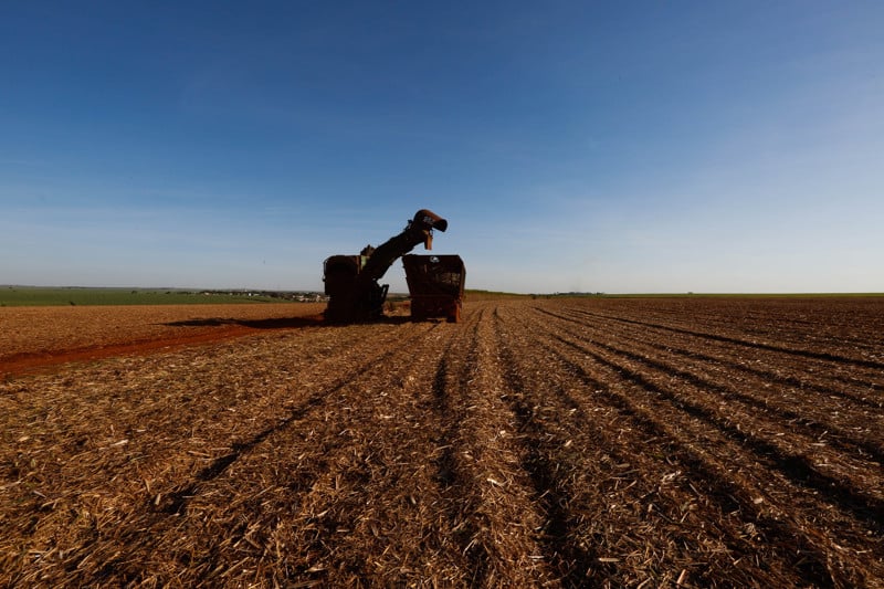 Colheita de cana mecanizada na Usina Santo Antônio, em Sertãozinho (SP)