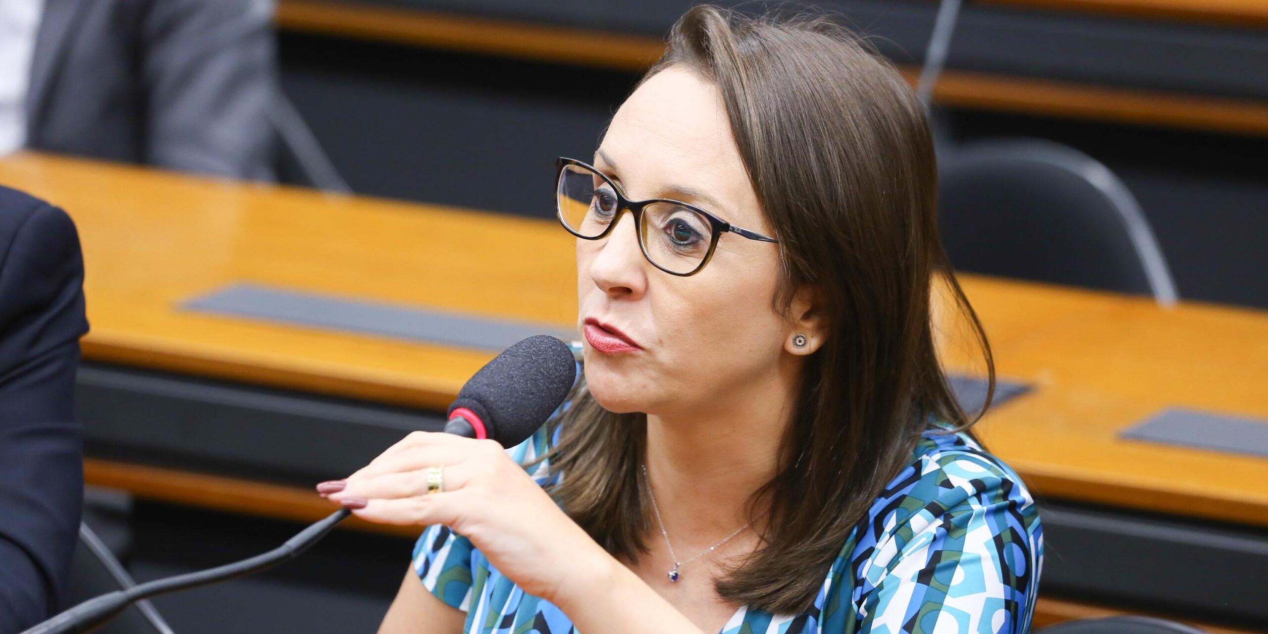 Presidente do Podemos repudia ataque ao deputado Sargento Portugal