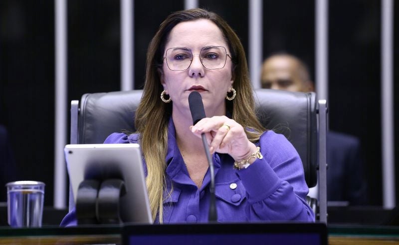 A deputada Delegada Katarina (PSD-SE) é a autora do projeto.