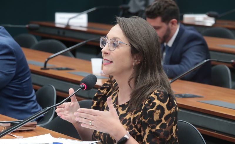 A deputada Renata Abreu (Podemos-SP) é a autora da proposta.