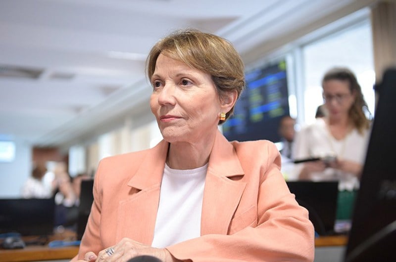 Ex-ministra da Agricultura e uma das lideranças da bancada do agro, Tereza Cristina foi relatora da proposta
