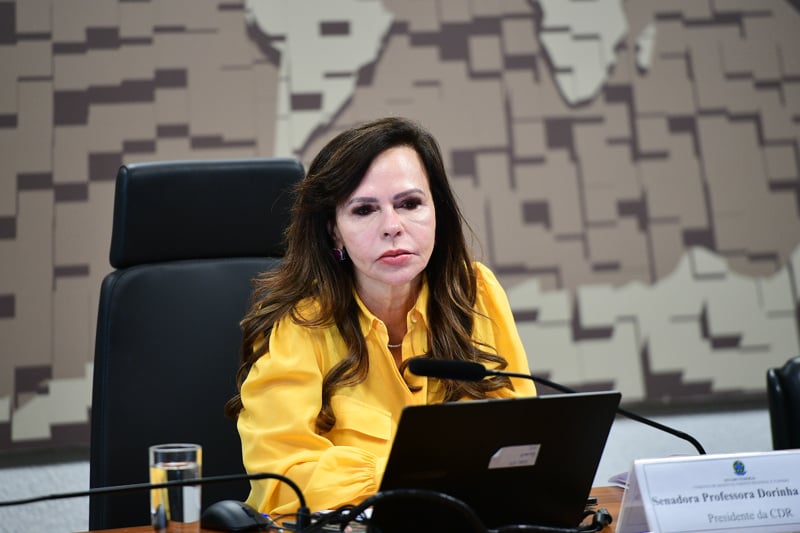 Senadora Professora Dorinha Seabra.