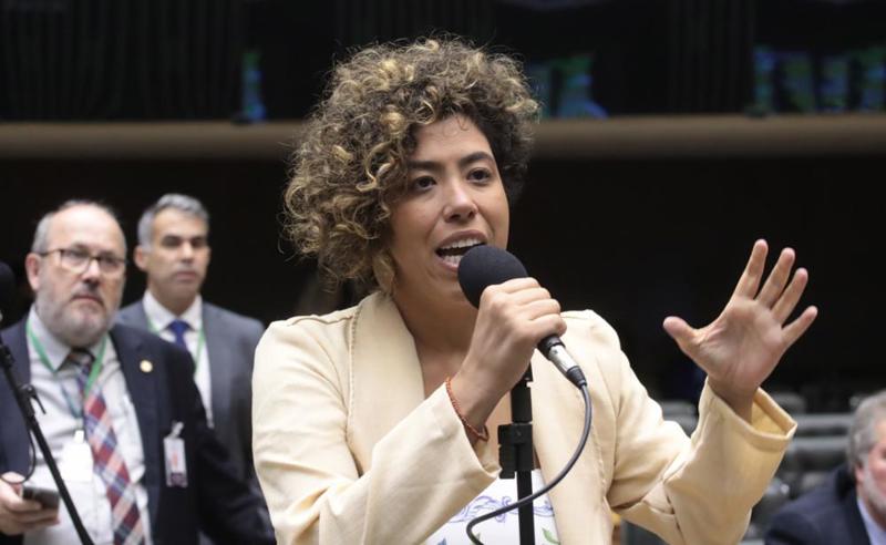 Talíria Petrone defende que o Congresso dê 