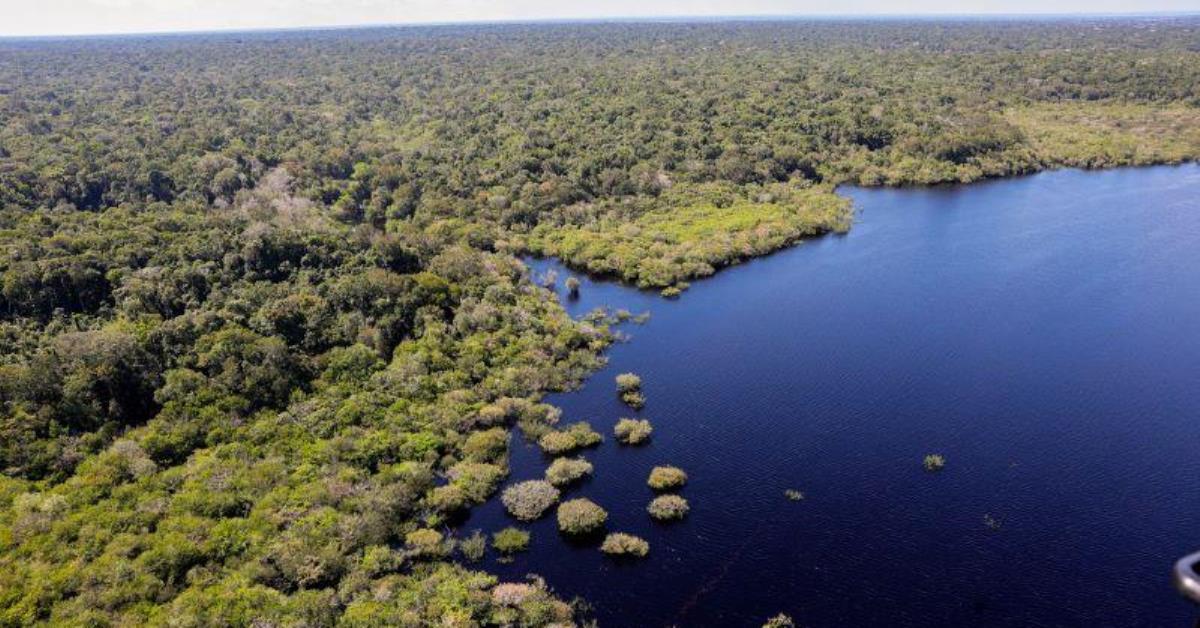 Brasileiros veem menos risco na crise climática, diz Datafolha