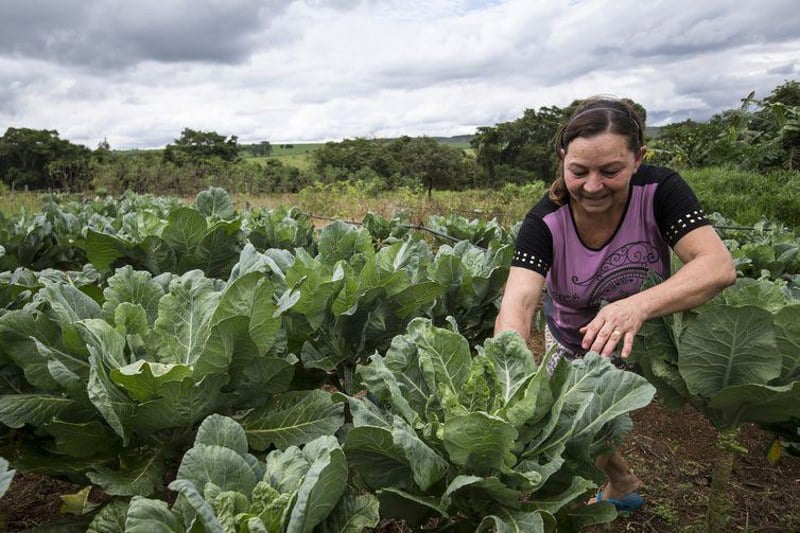 Isolamento geográfico e falta de serviços agravam a vulnerabilidade de mulheres rurais, dificultando denúncias e acesso à proteção.