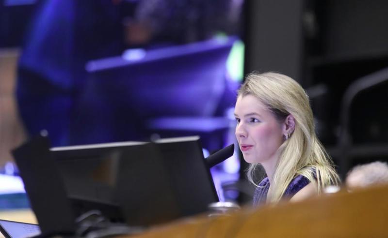 Luísa Canziani adiantou ao Congresso em Foco que a Câmara deverá dar novo enfoque às discussões.