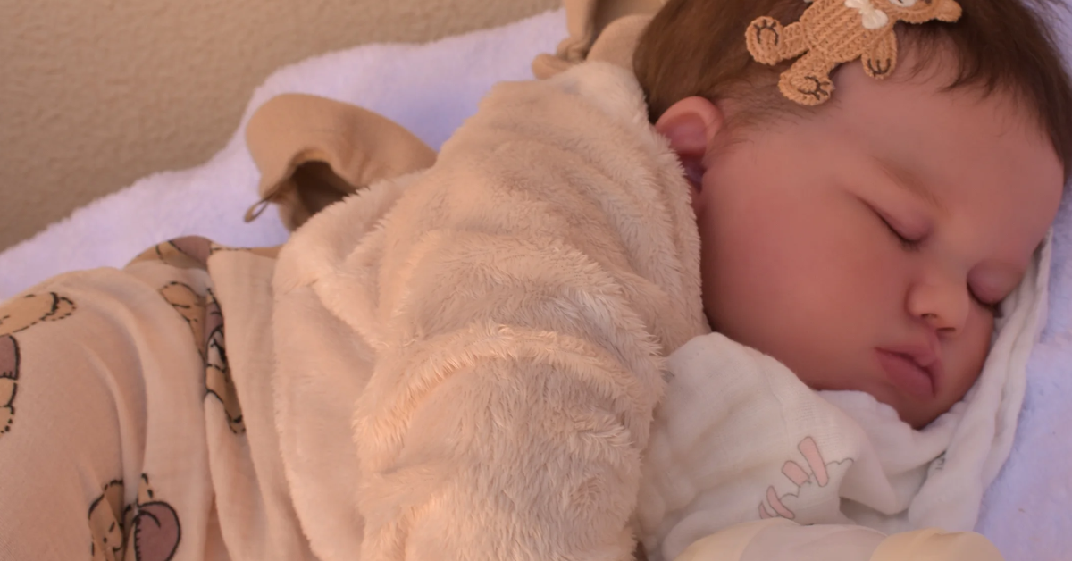 Câmara Municipal do Rio de Janeiro institui “Dia da Cegonha Reborn”