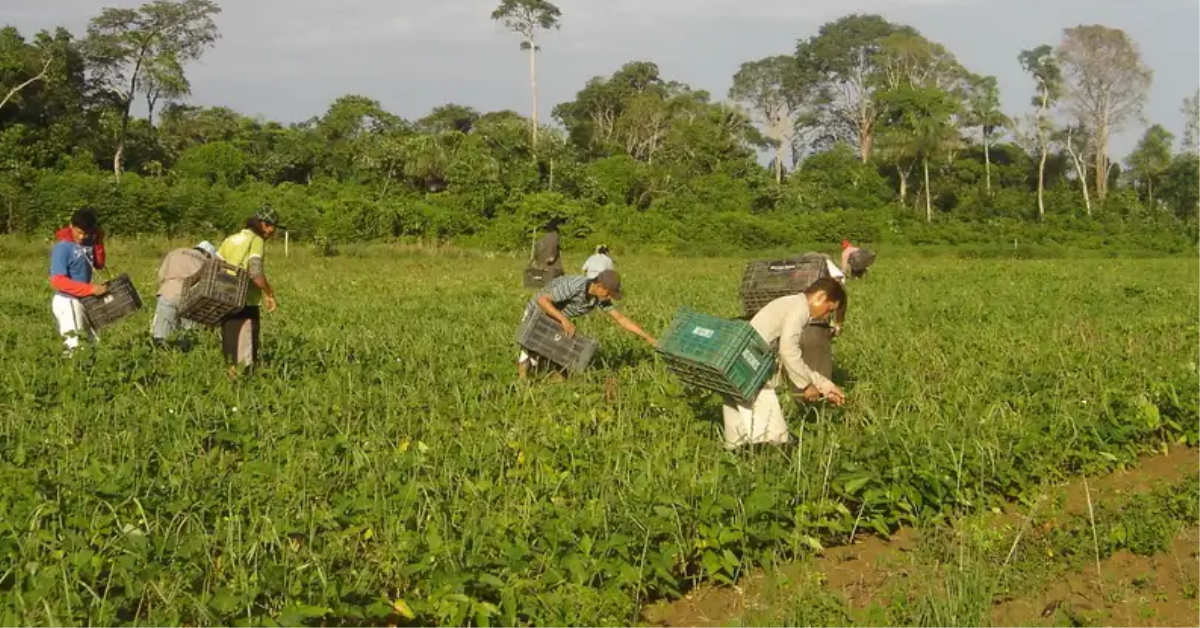 Comissão da Câmara aprova projeto de lei sobre agricultura familiar