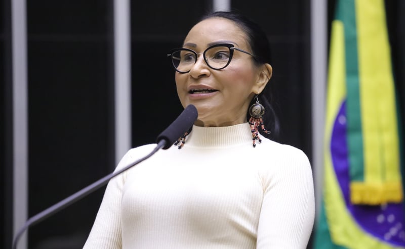 Silvia Waiãpi é a relatora do projeto.