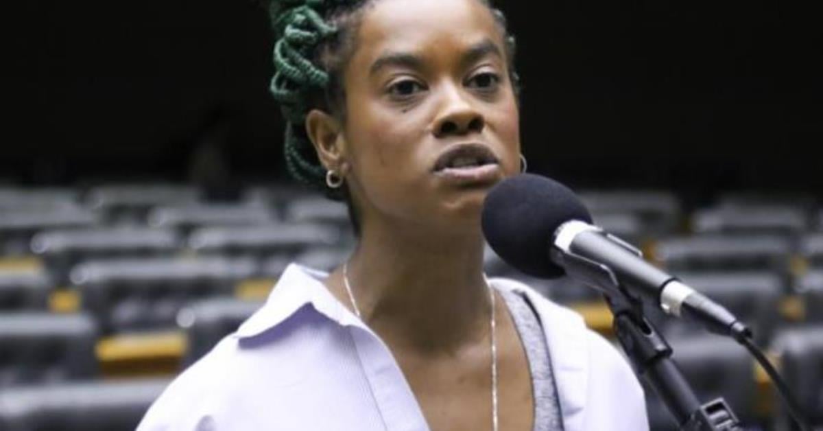 Deputada Carol Dartora sofre injúria racial, e polícia autua agressor