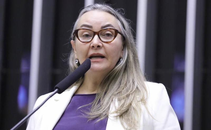 A deputada Daniela Reinehr (PL-SC) é a autora da proposta