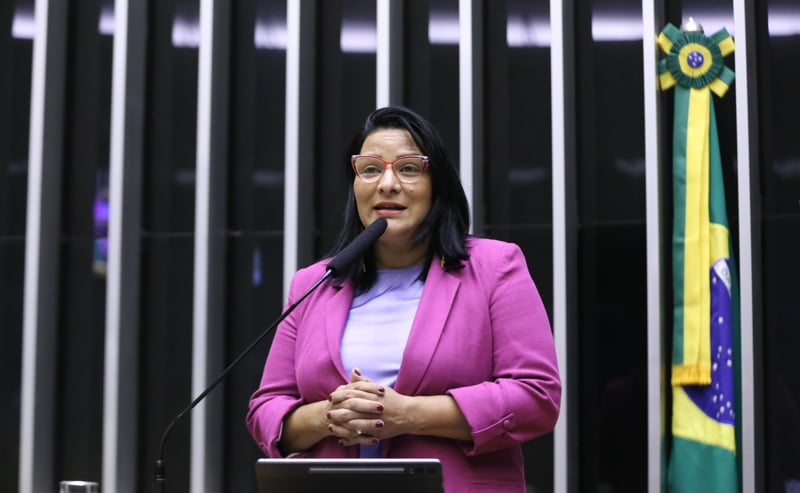 Dep. Juliana Cardoso (PT-SP).