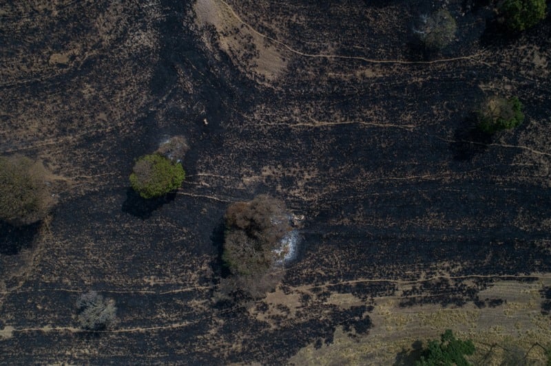 Parque em Águas da Prata, em São Paulo, perdeu quase metade de sua área com incêndio em maio de 2024