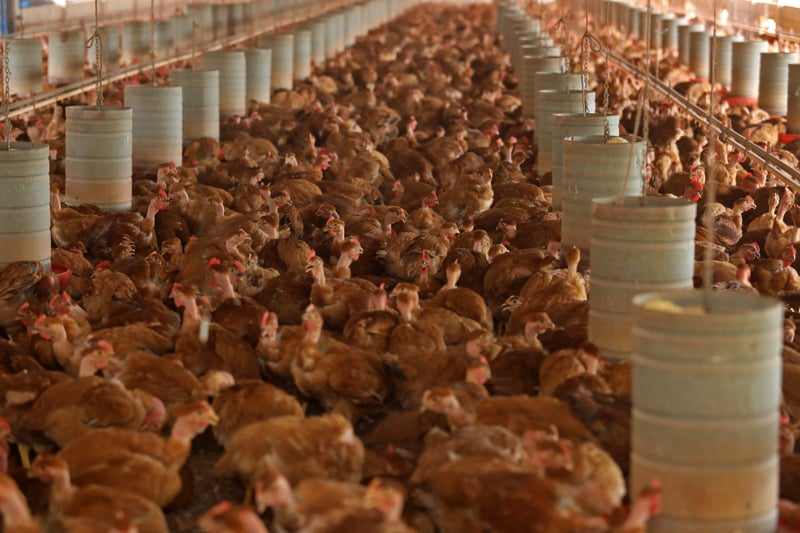 Bloco também reforça confiança no serviço sanitário e apoio ao produtor rural.