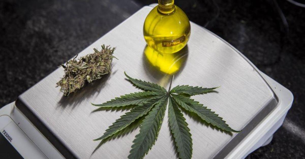 Governo apresenta plano para regular remédios com base em cannabis