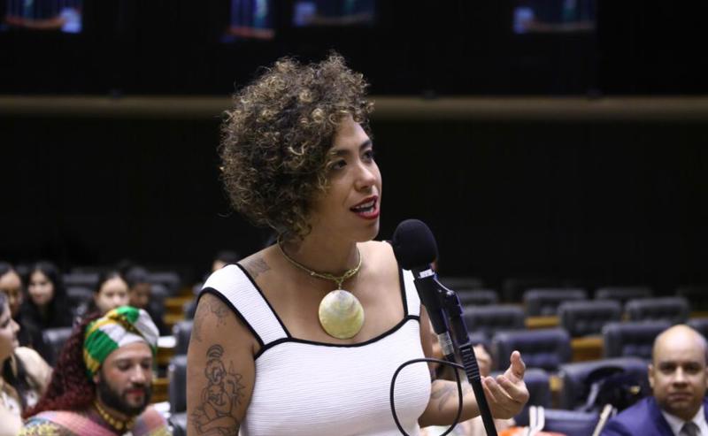  A deputada Talíria Petrone (PSOL-RJ) foi alvo de ofensa em rede social e o responsável foi condenado por injúria.