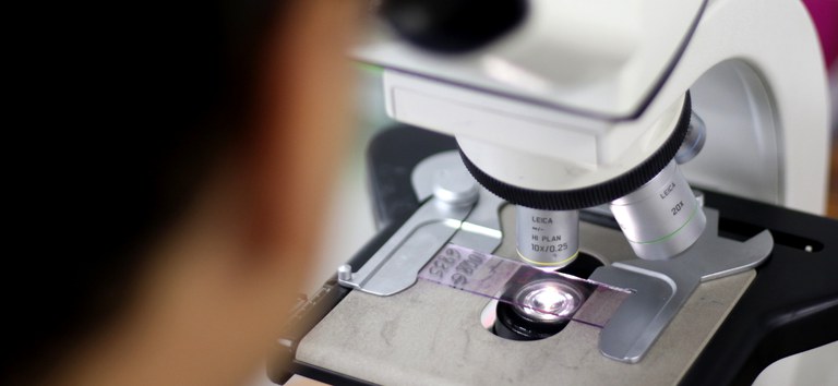 Pesquisa inédita financiada pelo Ministério da Saúde identifica pré-disposição genética a doenças em brasileiros