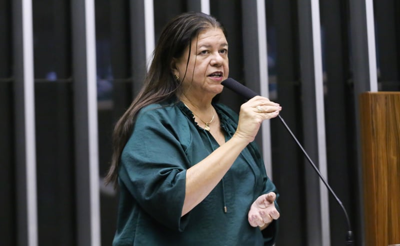 Laura Carneiro, autora da proposta.