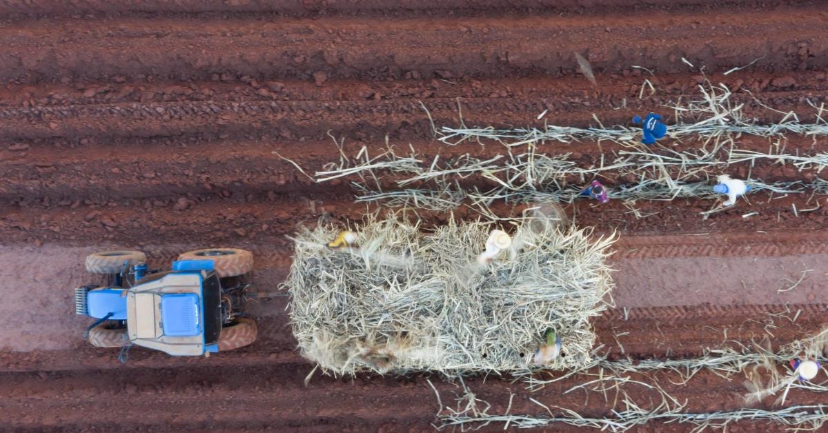 Puxada pela agricultura, economia cresce 1,4% no 1º trimestre