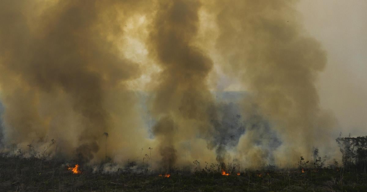 Câmara aprova aumento de penas por incêndios florestais