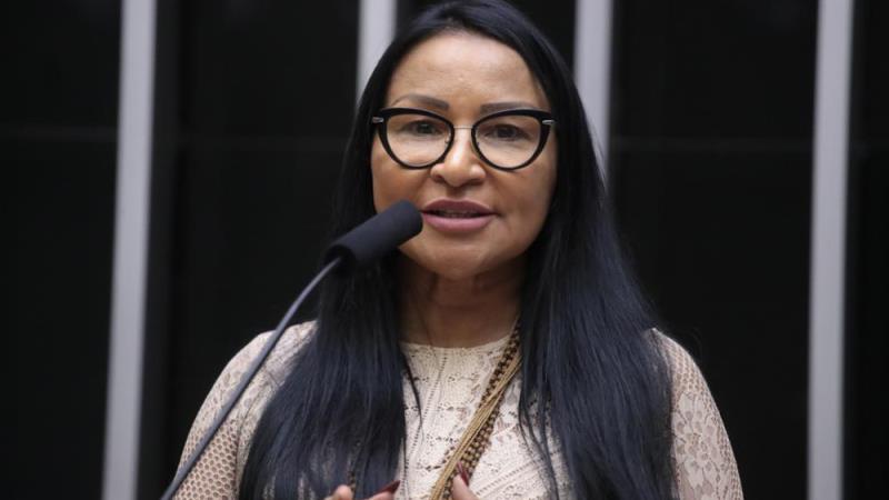 A deputada Silva Waiãpi (PL-AP) é relatora do projeto de lei.