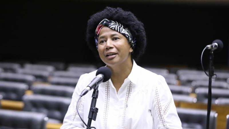 A deputada Silvia Cristina (PP-RO) é a relatora do projeto de lei.