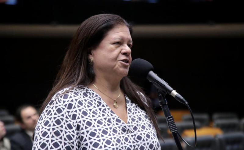 A deputada Laura Carneiro (PSD-RJ) é a relatora do projeto de lei que amplia o direito.