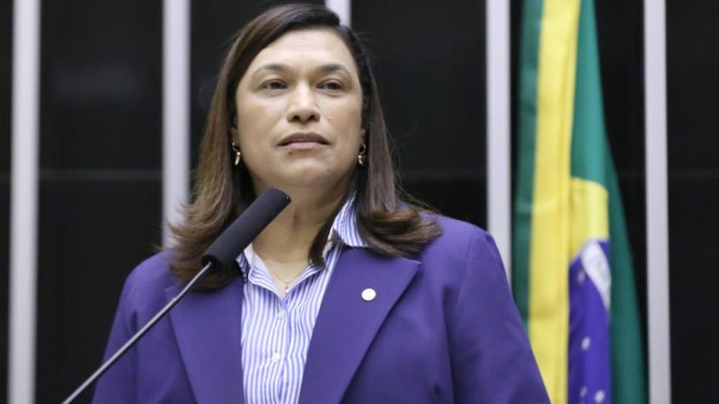 A deputada Maria Rosas (Republicanos-SP) é a autora do substitutivo.