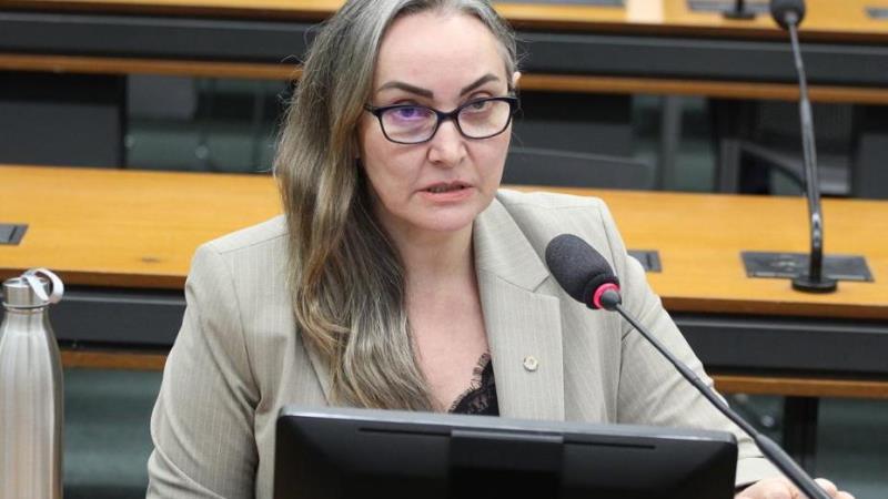 A deputada Daniela Reinehr (PL-SC) é a relatora do projeto de lei.