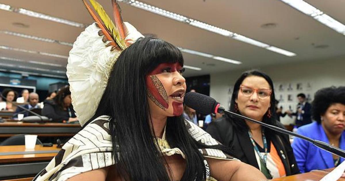 Deputada propõe uso de gasto militar do Brics para ações climáticas