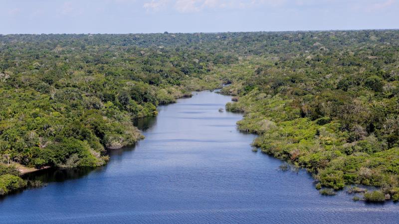 Proposta prevê atuação do Centro de Biotecnologia da Amazônia e participação de comunidades locais.